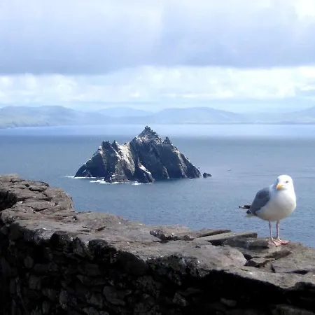 Groyne Dingle Peninsula