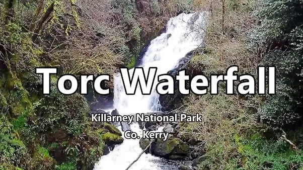 Groyne Dingle Peninsula *
