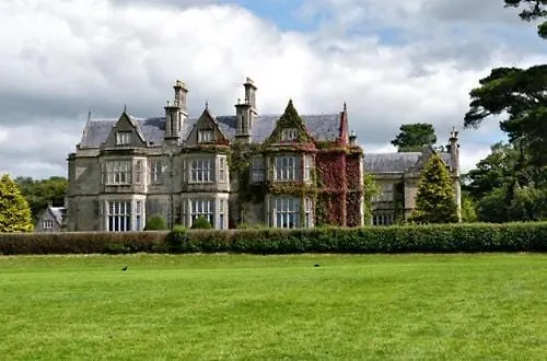 Groyne Dingle Peninsula