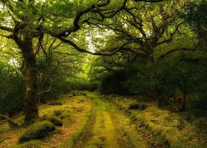 Apartment Groyne Dingle Peninsula Castlemaine